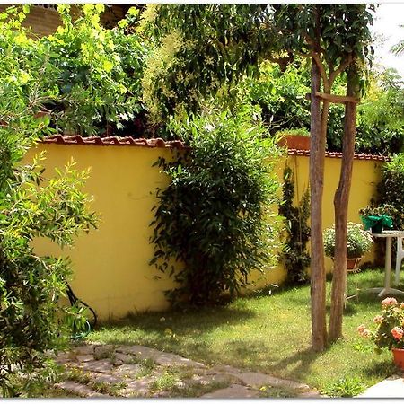 B&B Degli Amici Ciampino Dış mekan fotoğraf
